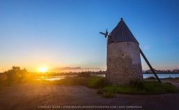 Molinos de Sal - La Manga del Mar Menor